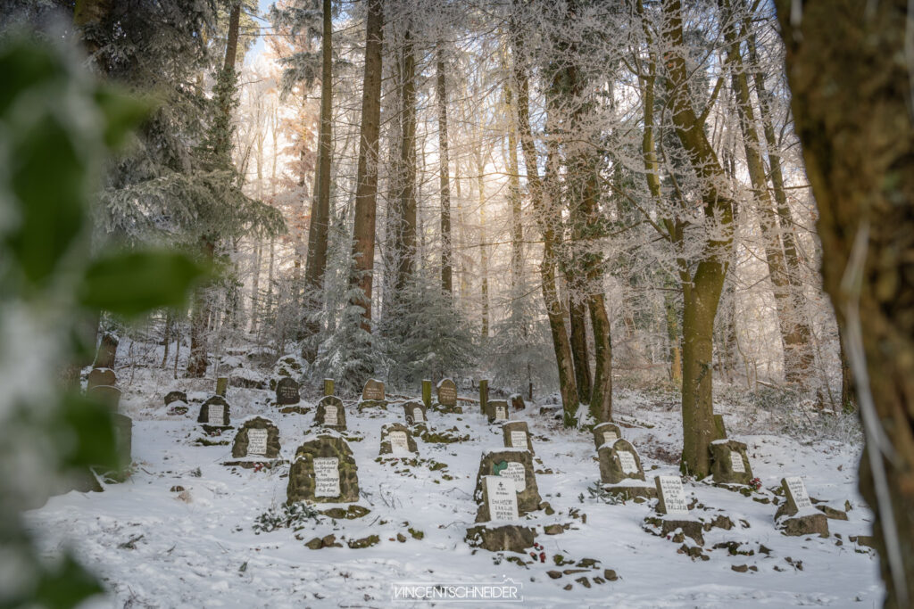 cimetière au harmannswillerkopf